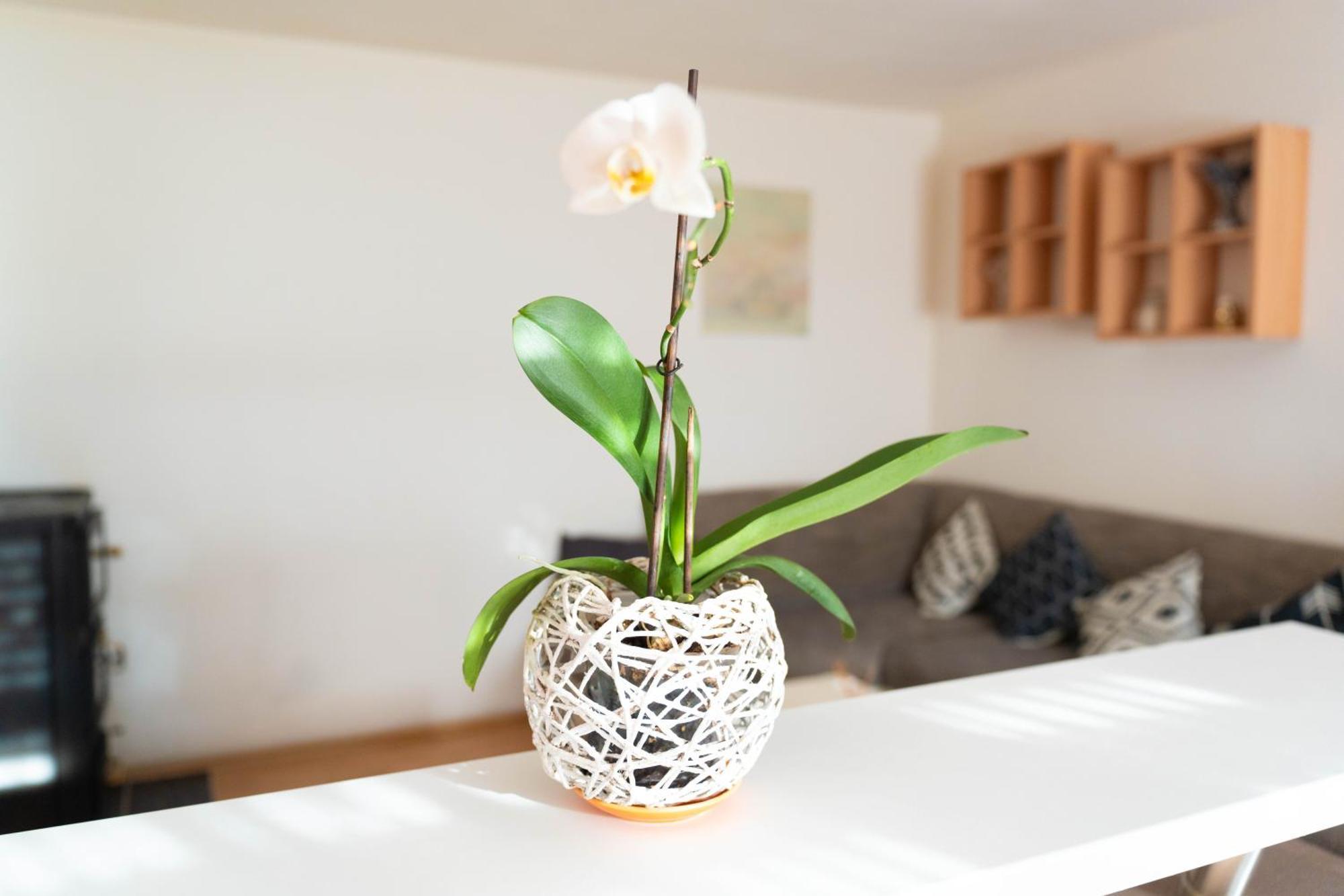 Apartman Lili Knin Exteriör bild